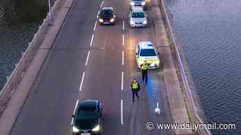 Police deal with real-life Hot Fuzz moment as they try and capture runaway swan on busy road
