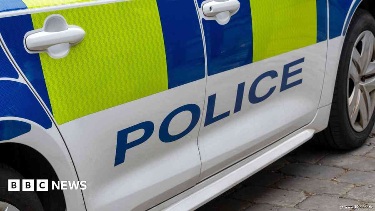 Pedestrian dies after collision with car