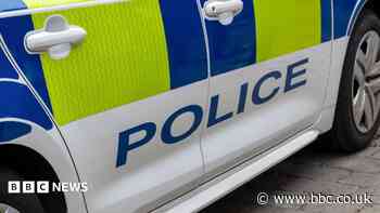 Pedestrian dies after collision with car