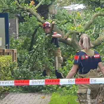 112 Nieuws: Grote tak valt naast flat Zwolle | Brand bij afvalverwerker in Haaksbergen