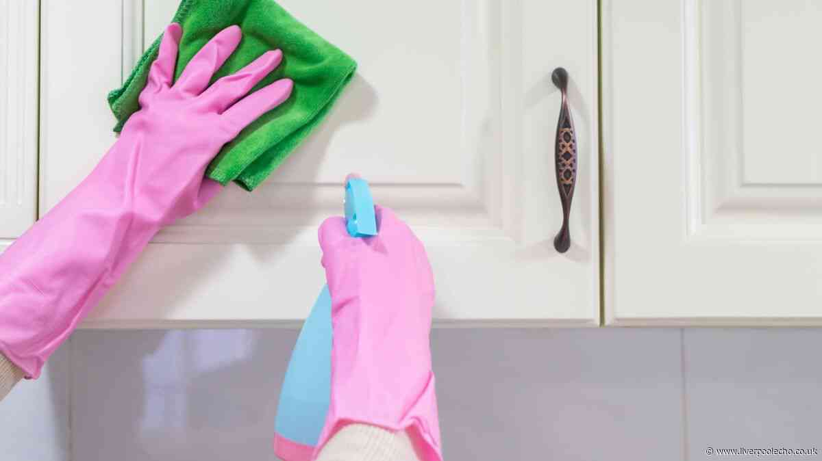 Remove fingerprints from kitchen cupboards using simple item everyone has at home
