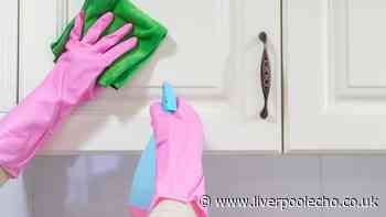 Remove fingerprints from kitchen cupboards using simple item everyone has at home