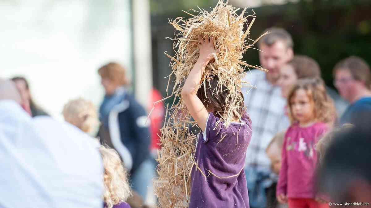 Hamburger Stadtteilfest verzichtet auf beliebte Attraktion – aus kuriosem Grund