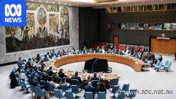 Australia begins campaign for seat at world's most powerful table