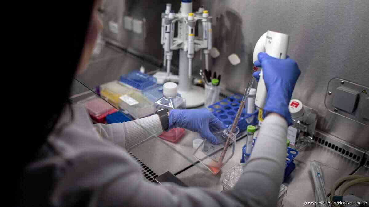 Neue Immunzellen greifen Krebs auf zwei Wegen an – zu einem Bruchteil der bisherigen Kosten