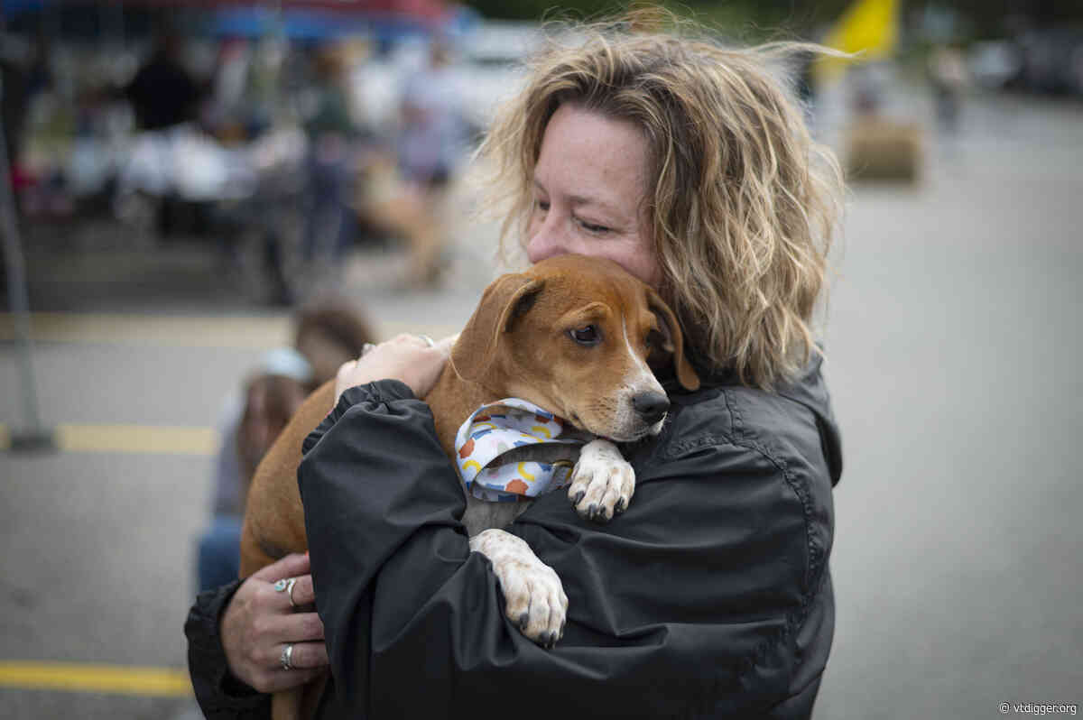 As financial hardship drives owners to give up pets, Vermont can’t rehome them fast enough