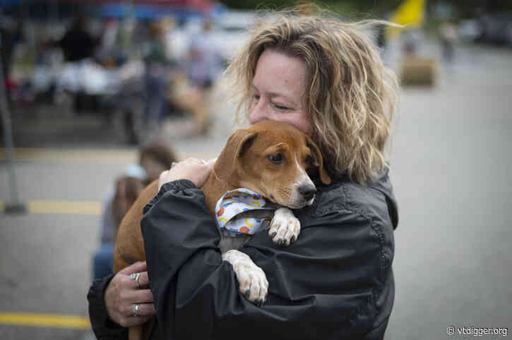 As financial hardship drives owners to give up pets, Vermont can’t rehome them fast enough