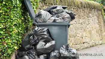 Your rights explained if a neighbour keeps putting rubbish in your bin without permission