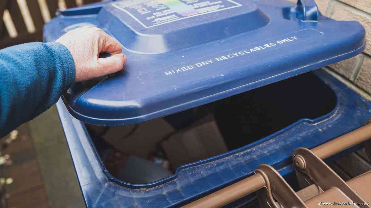 Neighbours keep putting rubbish in your bin? Experts explain your rights and what to do