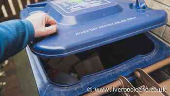 Neighbours keep putting rubbish in your bin? Experts explain your rights and what to do