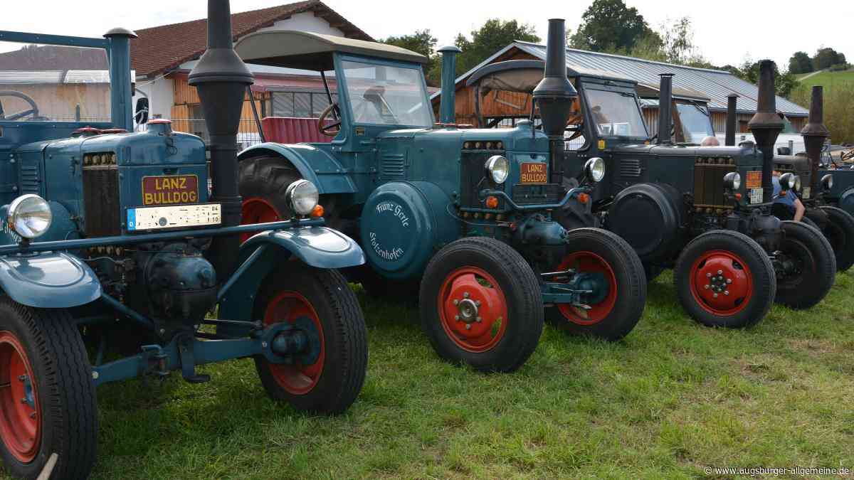 Von dampfenden Traktoren bis zu glänzenden Raritäten: Nostalgie beim Oldtimer-Treffen