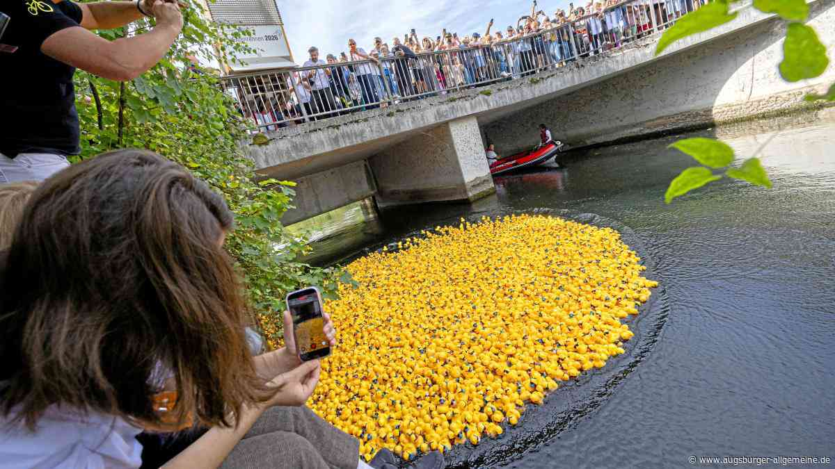 Bilder vom Augsburger Entenrennen 2026: So schwammen die Enten um die Wette