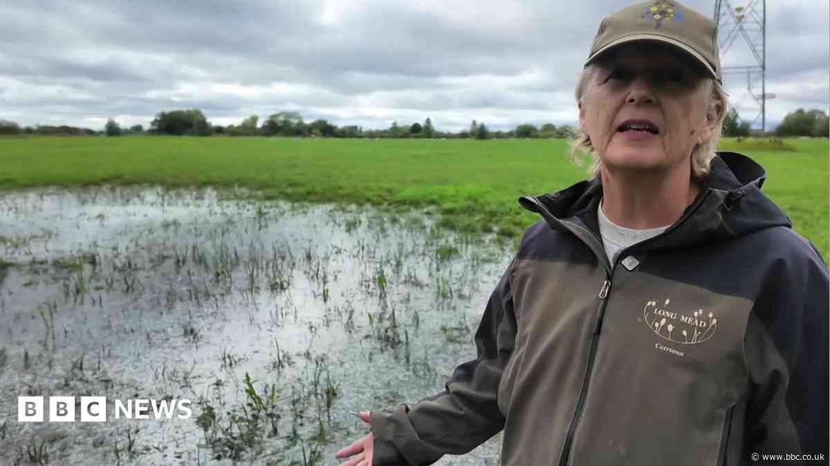 Burst pipe floods wildlife meadow for fourth time