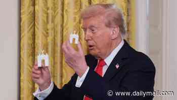 Trump converting plans for his beloved DC triumphal arch into sprawling 'military complex' for deploying drones and snipers