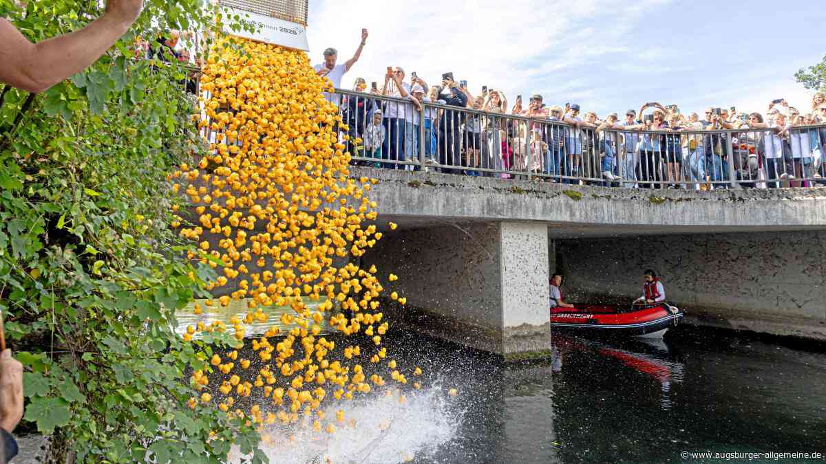 „Und wo sind unsere Enten?“: Augsburger Entenrennen an der Wertach begeistert Besucher