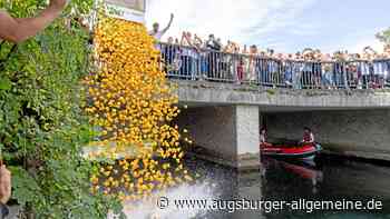 „Und wo sind unsere Enten?“: Augsburger Entenrennen an der Wertach begeistert Besucher