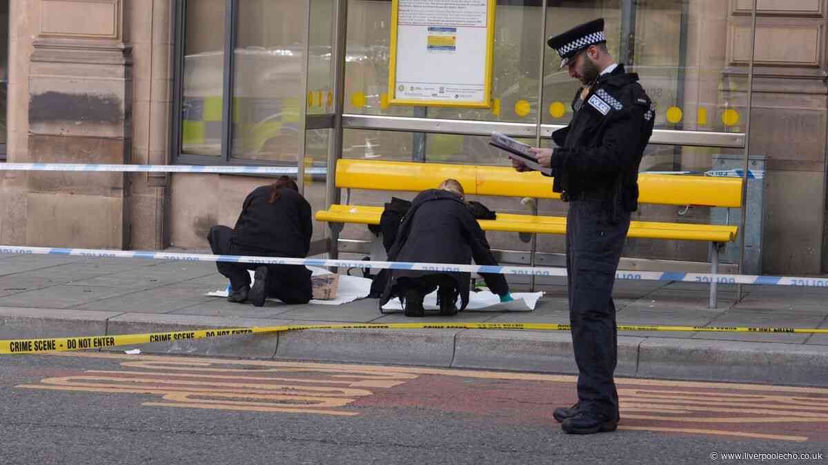Trainer left at Liverpool city centre bus stop yards from stabbing as police hunt for knifeman