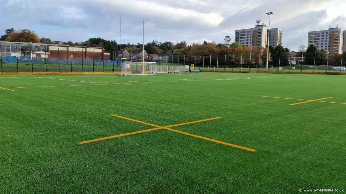 Swansea councillor's plea for grassroots football club