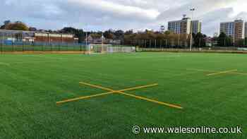Swansea councillor's plea for grassroots football club
