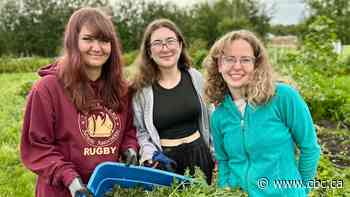 Alberta teens reap business and life lessons in first garden
