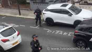Boy, 16, arrested after armed police descend on Dingle streets