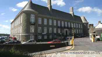 Welsh council to invest millions to help people with learning disabilities