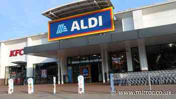 Aldi's new £18 boots that look like £70 Mountain Warehouse pair
