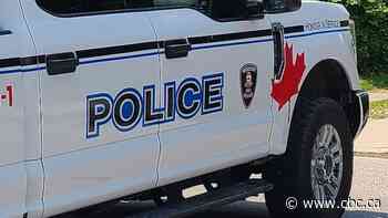 Windsor officers cleared in fatal shooting: police watchdog