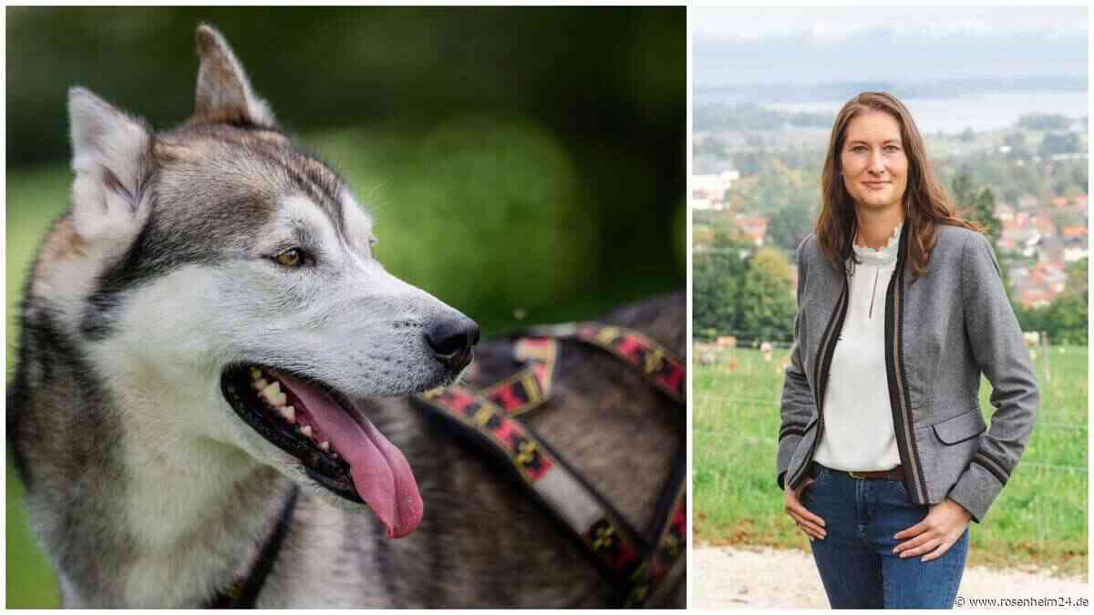 „Nicht in der Lage“: Bernaus Bürgermeisterin greift nach tödlichen Hundeattacken durch