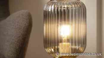 'Expensive-looking' Argos lamp with 'lovely glow' drops to 85p in deal stack