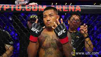 The Bigger Picture | Crypto.com UFC 331: Van vs Pantoja 2