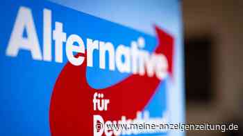 Wo die AfD am besten abschneiden dürfte: zu den Wahlen in Berlin und Mecklenburg-Vorpommern