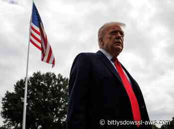 Trump anuncia complejo militar con drones y francotiradores en el arco que construirá en Washington