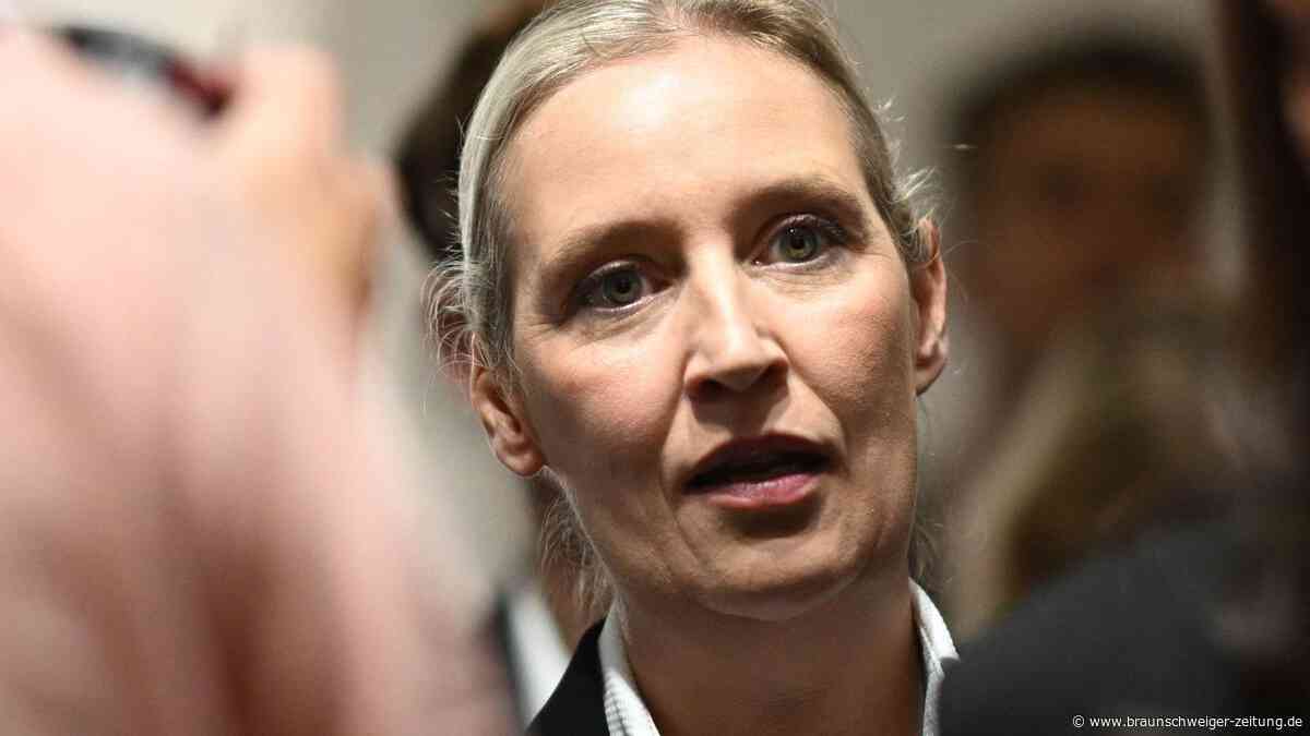 Weidel: „Die Linke will Reiche erschießen“ – Was steckt hinter dieser Aussage?
