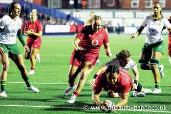 Wales 50-19 South Africa: Sean Lynn’s side on a high as hard work pays off