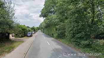 Girl, 17, is fighting for her life in hospital after motorbike and van crash in Wiltshire