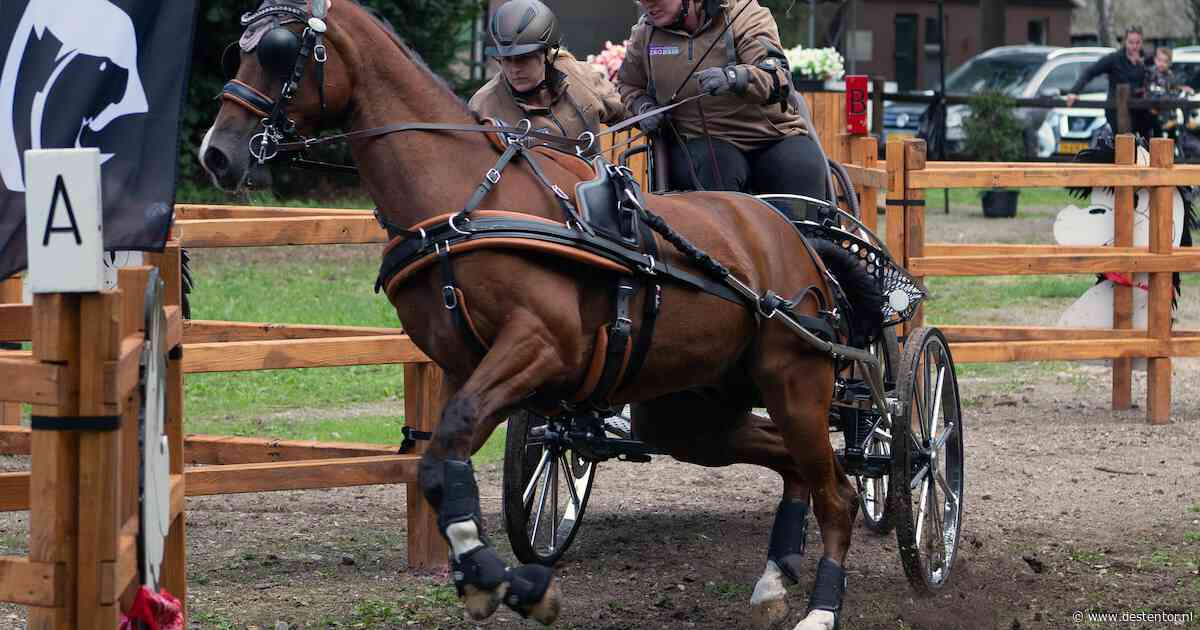 Met deze paardenstrijd begint de feestweek voor de familie van Ester: ‘Alleen moeder heeft er niks mee’