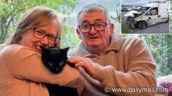 Pandora the cat comes home - six years after she vanished