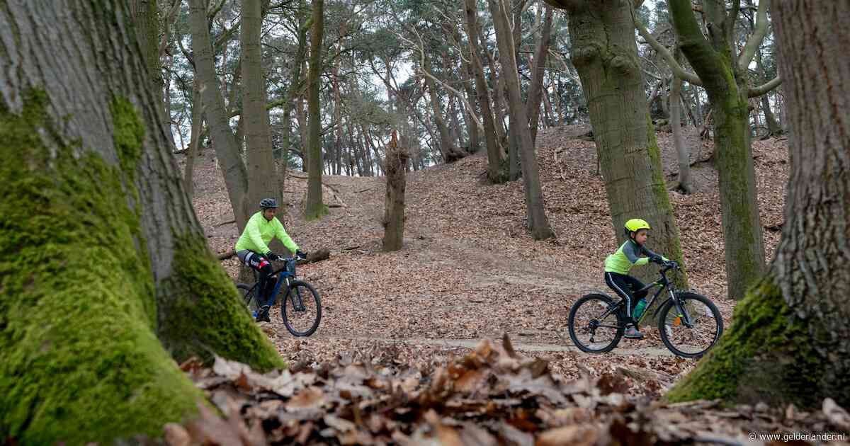 MTB-route definitief dicht, want nieuwe grondeigenaar wil rust: ‘Heel zuur’