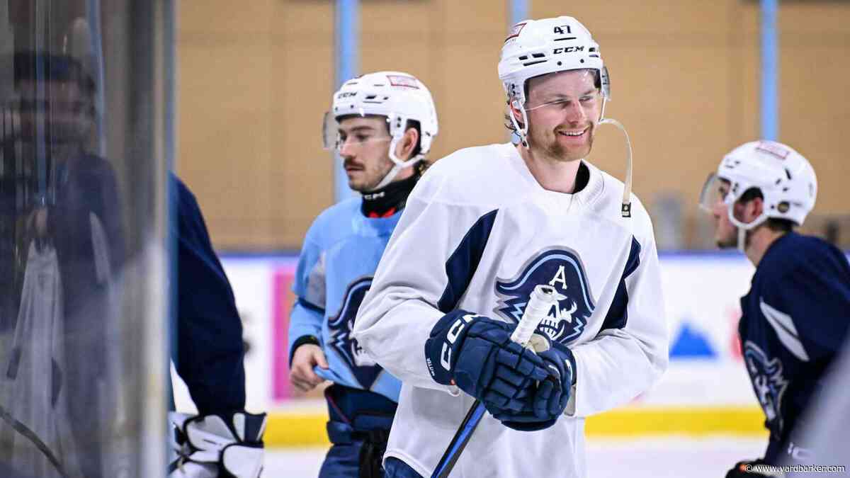 Boston Bruins Place Navrin Mutter on Waivers