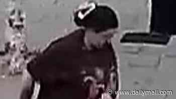 One-year-old boy is rushed to hospital after 'dog lunged at pushchair and attacked him': Police release CCTV of woman