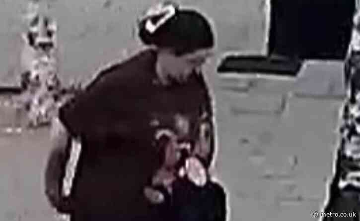 Baby, 1, in pushchair bitten in face by German Shepherd