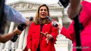 Florida Republican calls interim Venezuelan president 'necessary evil'
