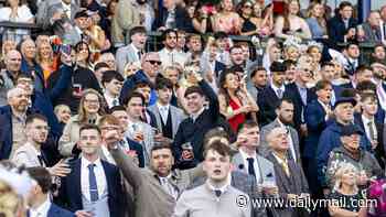 Come rain or shine, a trip to the races is a guaranteed crowd-pleaser... and Ayr's Gold Cup day certainly didn't disappoint