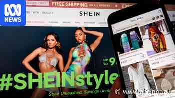 Shein, Temu shoppers keep adding to cart despite environmental concerns