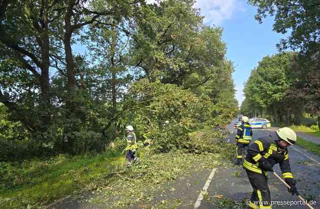 FW Geestland: Baum stürzt auf Fahrzeug | Feuerwehr beseitigt Hindernis auf der L135