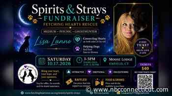 Spirits & Strays event to support Enfield dog rescue