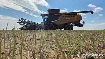 'An extremely difficult job': Feds put $1M towards promoting farm safety in Canada
