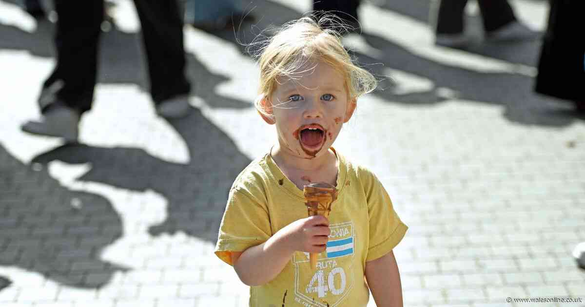 Food lovers descend on Welsh market town for world-famous festival