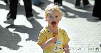 Food lovers descend on Welsh market town for world-famous festival